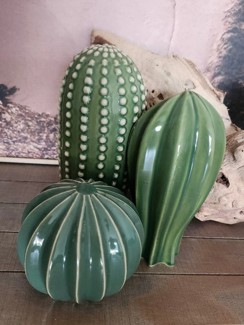 IKEA SJÄLSLIGT Ceramic Cactus Decor Set of 3 Boho Desert Southwestern-Themed